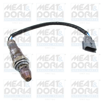 Oxygen Sensor